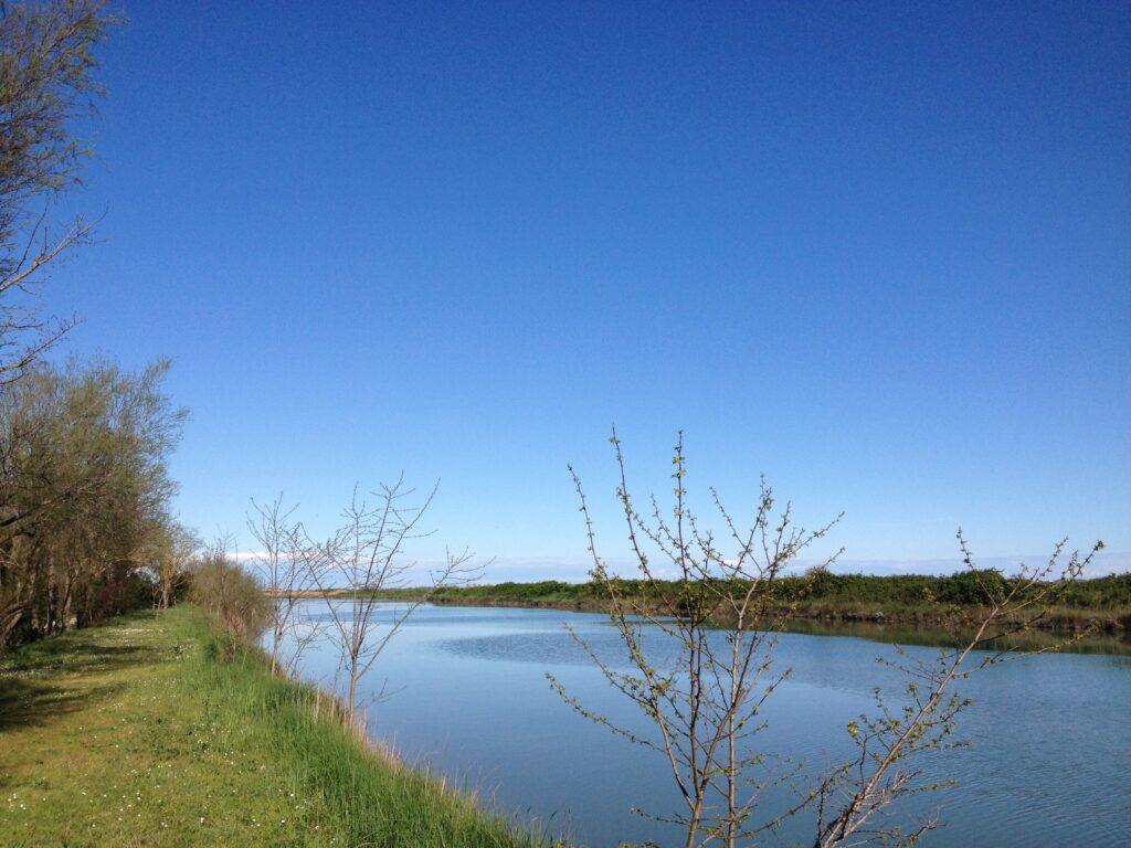 Le valli della laguna di Venezia: Valle Drago Jesolo