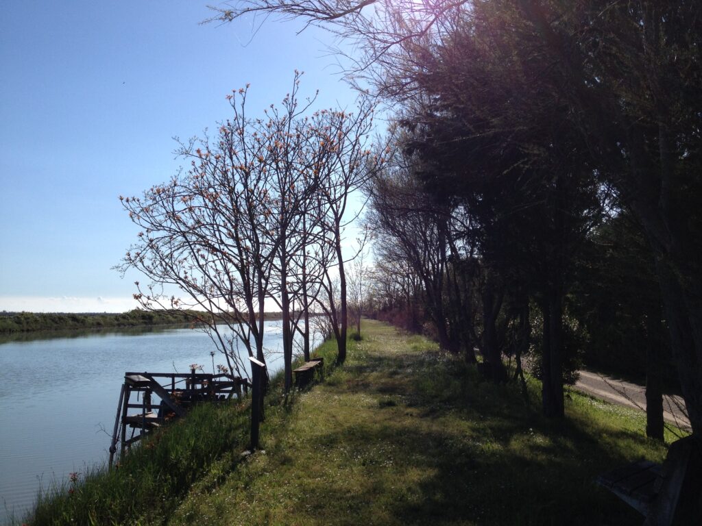 Le valli della laguna di Venezia: Valle Drago Jesolo