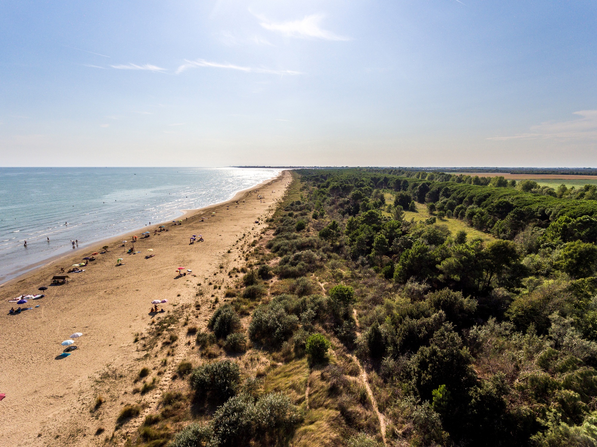 Blick auf den Strand von Brussa im Naturoase Vallevecchia bei Caorle
