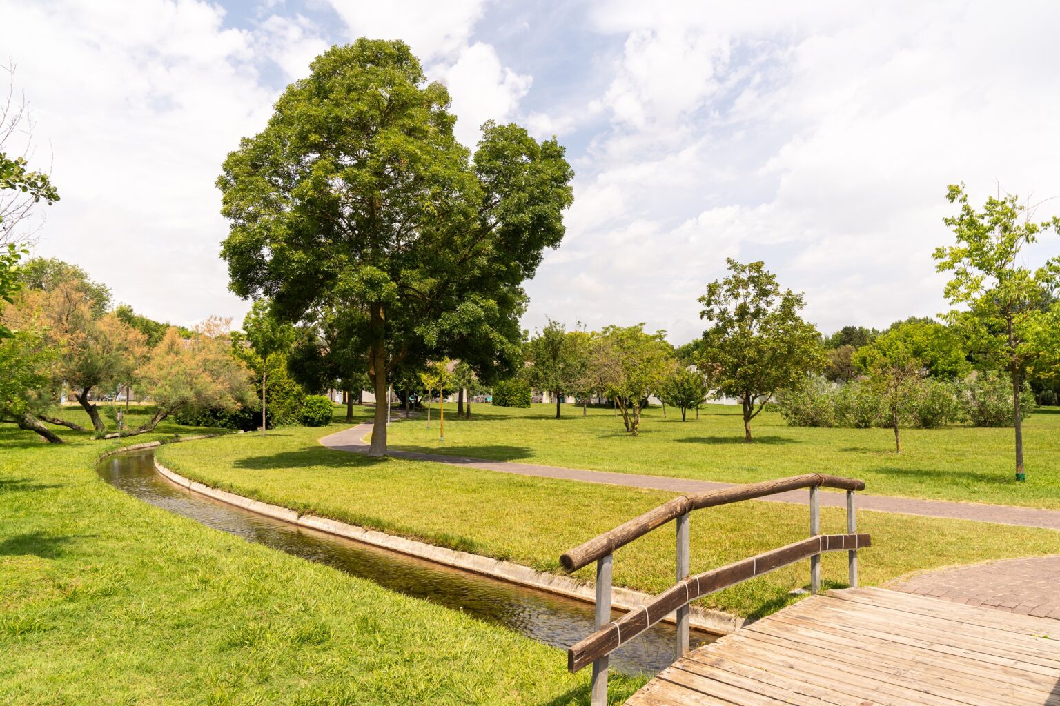 vista parco